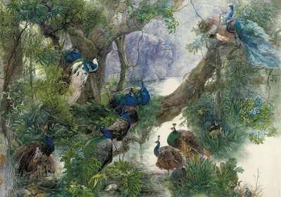 

Фотообои листовые, Животные и Птицы 57