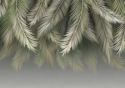 

Фотообои листовые, Пальмовые листья 84