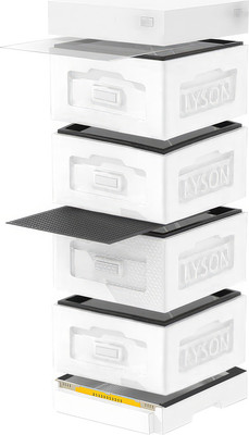 Улей Lyson Рута На 10 Рамок / WR4W (неокрашенный) - 