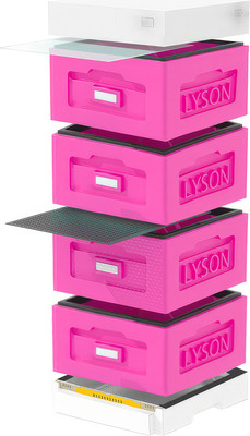 Улей Lyson Рута На 10 Рамок / WR4PW (розовый/неокрашенный) -