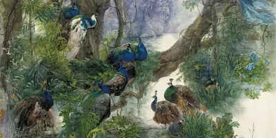 

Фотообои листовые, Животные и Птицы 57