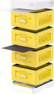 Улей Lyson Рута На 10 Рамок / WR4YW (желтый/неокрашенный) -