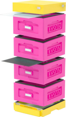 Улей Lyson Рута На 10 Рамок / WR4PY (розовый/желтый) -