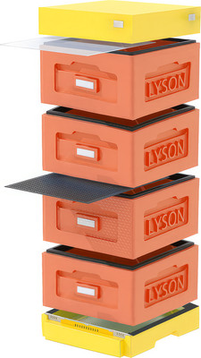 Улей Lyson Рута На 10 Рамок / WR4ORY (оранжевый/желтый) -