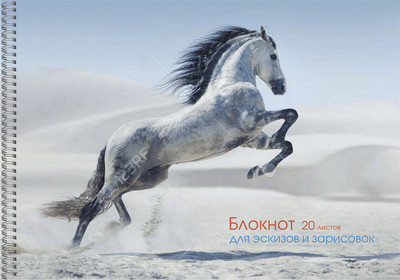 

Блокнот, Грациозная лошадь / БС20181