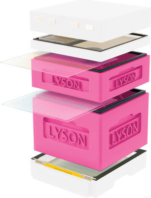 Улей Lyson Дадан На 12 Рамок / K122PW (розовый/неокрашенный) - 