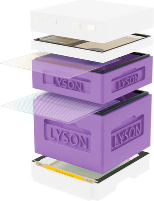 Улей Lyson Дадан На 12 Рамок / K122PUW (фиолетовый/неокрашенный) - 