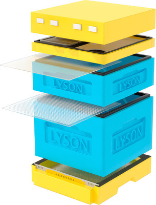 Улей Lyson Дадан На 12 Рамок / K122BY (синий/желтый) -