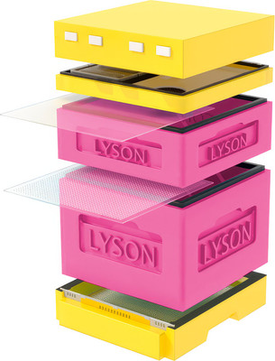 Улей Lyson Дадан На 12 Рамок / K122PY (розовый/желтый) -