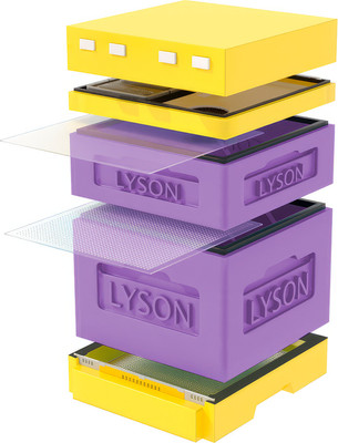 Улей Lyson Дадан На 12 Рамок / K122PUY (фиолетовый/желтый) -