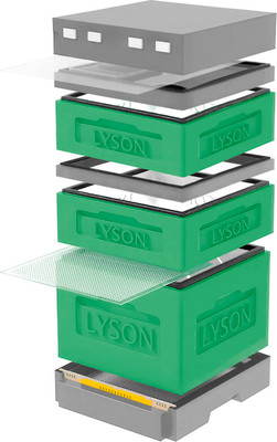 Улей Lyson Дадан На 12 Рамок / K123GG (зеленый/серый) - 