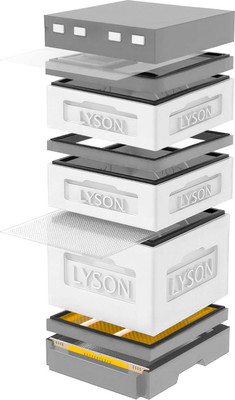 Улей Lyson Дадан На 12 Рамок / K124WG (неокрашенный/серый) -
