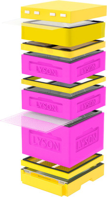 Улей Lyson Дадан На 12 Рамок / K125PY (розовый/желтый) - 