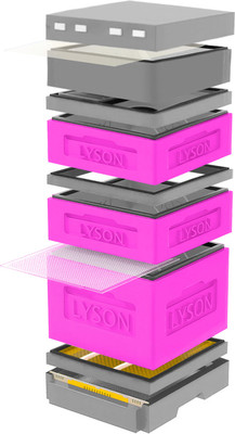 Улей Lyson Дадан На 12 Рамок / K125PG (розовый/серый) - 