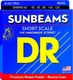 Струны для бас-гитары DR Sunbeams SNMR5-45 45-125 - 