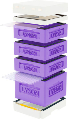 Улей Lyson Дадан На 12 Рамок / K126PUW (фиолетовый/неокрашенный) -