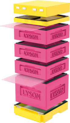 Улей Lyson Дадан На 12 Рамок / K126PY (розовый/желтый) -