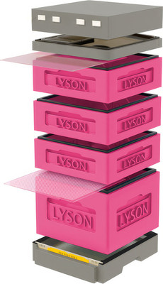 Улей Lyson Дадан На 12 Рамок / K126PG (розовый/серый) -