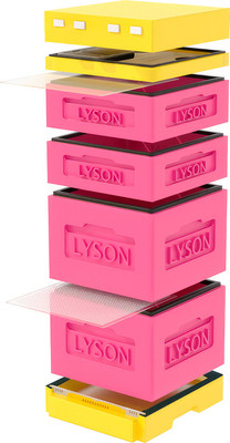 Улей Lyson Дадан На 12 Рамок / K127PY (розовый/желтый) - 