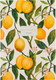 Блокнот Альт Flora Lemons / 3-160-490/19 (160л) - 
