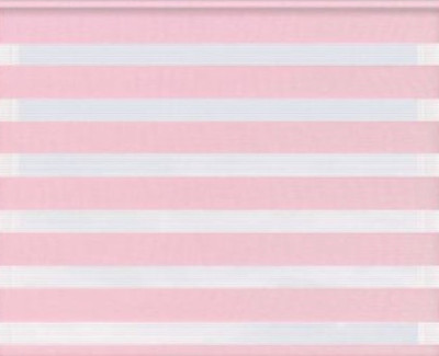 Рулонная штора Jalux День-Ночь Софт bh 10 48x160 (розовый) -