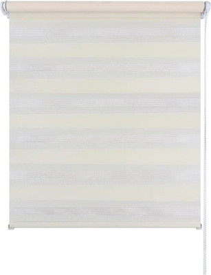 Рулонная штора Jalux День-Ночь Софт s 5 60x160 (молочный) -