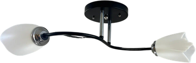 

Потолочный светильник, 1011/2