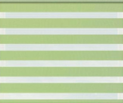 Рулонная штора Jalux День-Ночь Софт bh 1807 100x160 (фисташковый) -