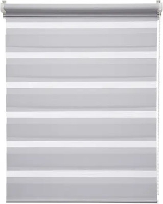 Рулонная штора Jalux День-Ночь V 2079/17 100x160 (светло-серый) - 