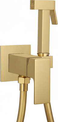 Гигиенический душ Roxen Caspia 50096000-GB - 