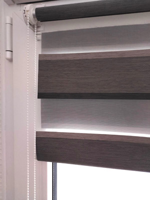 

Рулонная штора, День-Ночь Степ ВО 7524-08 110x160