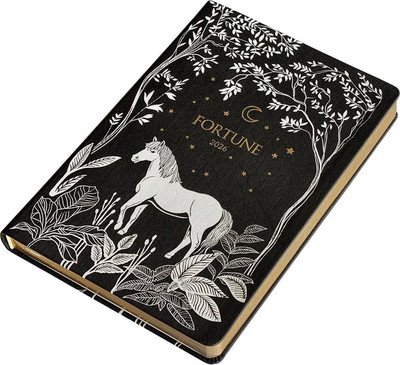 Ежедневник InFolio Fortune 2026 / I1723 (черный) - 