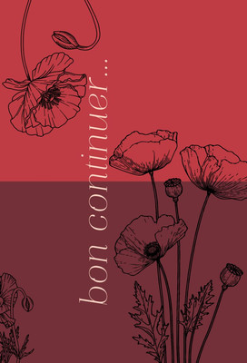 

Книга, Bon Continuer. Сборник стихотворений