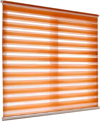 

Рулонная штора, День-Ночь Jalux Софт bh 1802 120x160