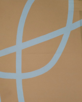 

Рулонная штора, AB 404 40x160