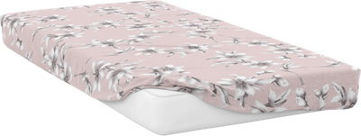 

Простыня, Паола на резинке / 160Пр-5