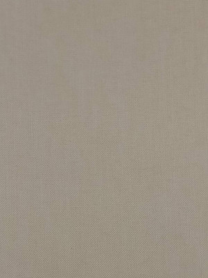 Рулонная штора Jalux МЕ 734 51x160 (бежевый) -