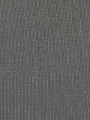 Рулонная штора Jalux Скай 19 70x160 (темно-серый) -