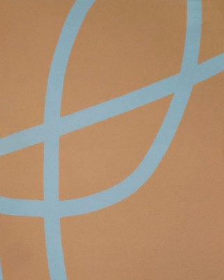 

Рулонная штора, AB 404 90x160