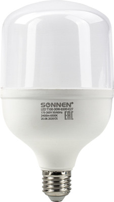 Лампа Sonnen 30(250)Вт Е27 Т100-30W-6500-E27 / 454924 (холодный белый) - 