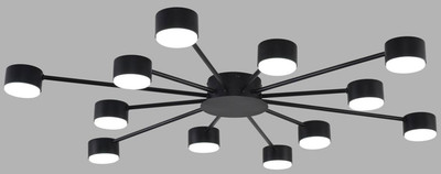 Люстра Lumion Torina 8344/12C -