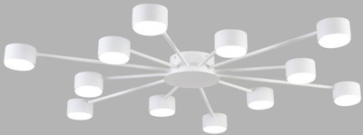 Люстра Lumion Torina 8343/12C -