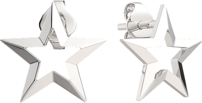 

Серьги из серебра, 0300140