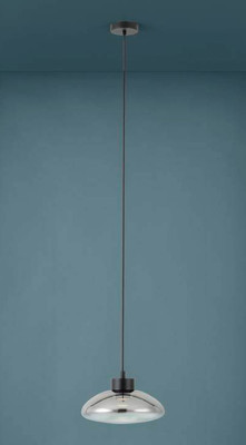 Потолочный светильник Eglo Sarnarra 390298 - 