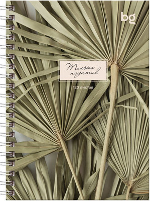 

Записная книжка, Место под солнцем