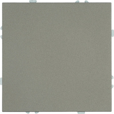 

Декоративная заглушка для розетки, Эмили RST00-5116-09 / 49935