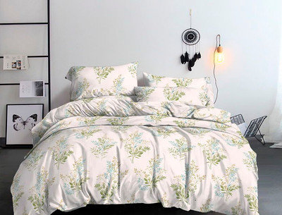 

Комплект постельного белья, № 1010-6 2сп с европростыней