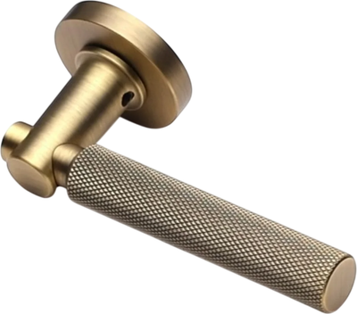 

Ручка дверная, Troy ZR MAB