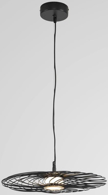 

Потолочный светильник, Camomile 8379/9L