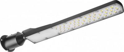 

Светильник уличный, OSF-04-100-5K-LED / 90477